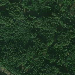 Satellite imagery of Jelenka[Nová Ves nad Lužnicí], CZ