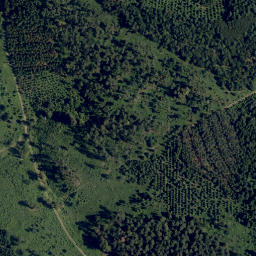 Satellite imagery of Steinberg, AT