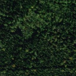 Satellite imagery of Reute, DE