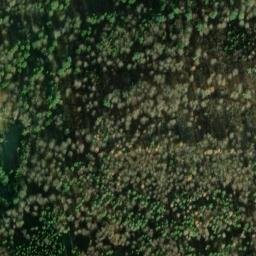 Satellite imagery of Ameisenhau, DE