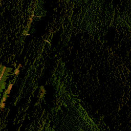 Satellite imagery of survey_point, CZ