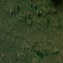 Satellite imagery of Mittelberg, DE