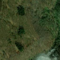 Satellite imagery of Mittelberg, DE