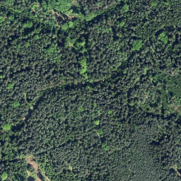 Satellite imagery of Holá hora [Nové Hrady], AT
