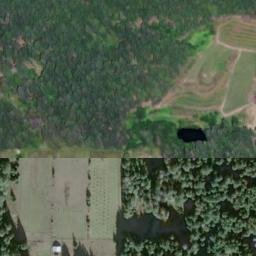 Satellite imagery of Bald Cone, CA