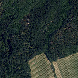 Satellite imagery of Parapluieberg, AT