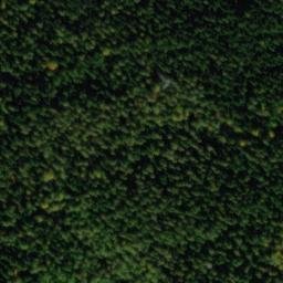 Satellite imagery of Hoher Busch, DE