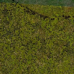 Satellite imagery of Trojmezná [Nová Pec], CZ