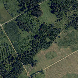 Satellite imagery of Mühlberg, AT