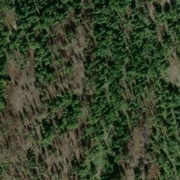 Satellite imagery of Blue Ridge, US