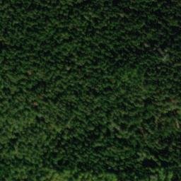 Satellite imagery of Hoher Busch, DE