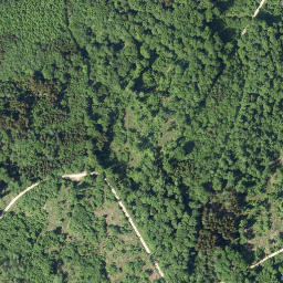 Satellite imagery of Schellenberg, DE