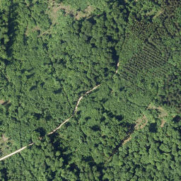 Satellite imagery of Schellenberg, DE