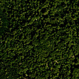 Satellite imagery of Hainberg, DE