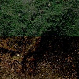 Satellite imagery of Plechý, CZ