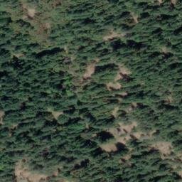 Satellite imagery of Mount Sulivan, CA