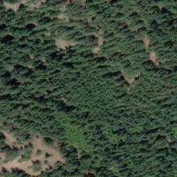 Satellite imagery of Mount Sulivan, CA