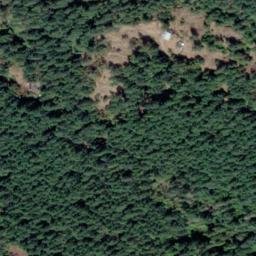 Satellite imagery of Reginald Hill, CA