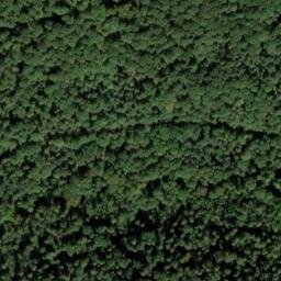 Satellite imagery of Raichberg, DE