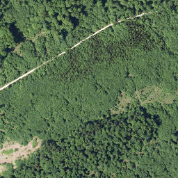 Satellite imagery of Schellenberg, DE