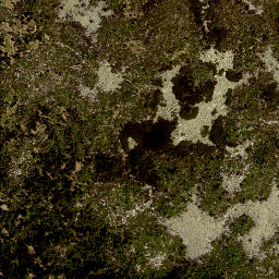 Satellite imagery of Trojmezná [Nová Pec], CZ