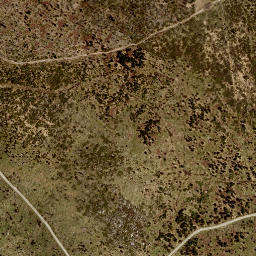 Satellite imagery of Plechý, CZ