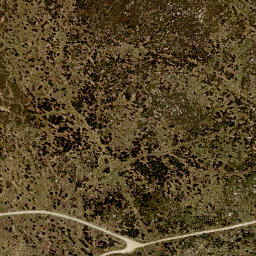 Satellite imagery of Plechý, CZ