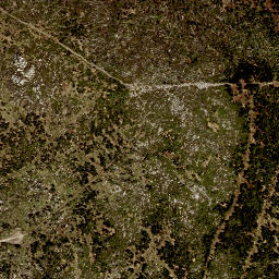 Satellite imagery of Plechý, CZ