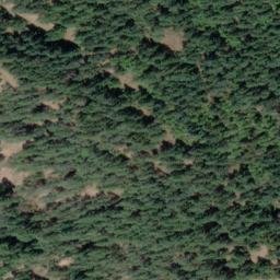 Satellite imagery of Mount Sulivan, CA
