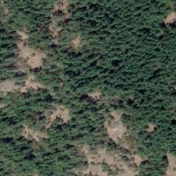 Satellite imagery of Reginald Hill, CA