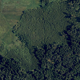 Satellite imagery of Buch Berg, AT