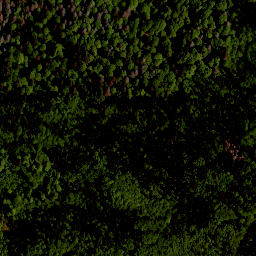 Satellite imagery of Studničná [Nová Pec], CZ