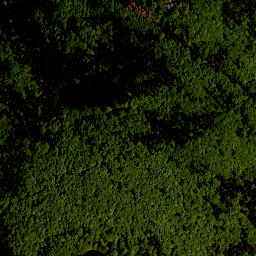 Satellite imagery of Studničná [Nová Pec], CZ