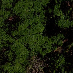 Satellite imagery of Studničná [Nová Pec], CZ