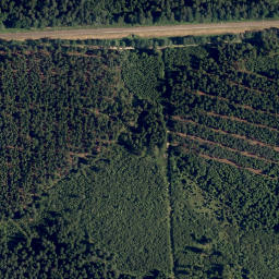 Satellite imagery of Buch Berg, AT