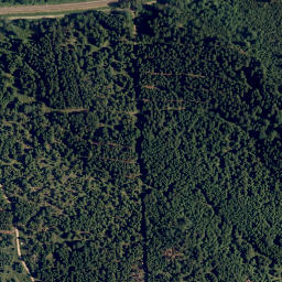 Satellite imagery of Buch Berg, AT