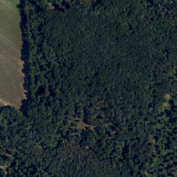 Satellite imagery of Schafberg, AT