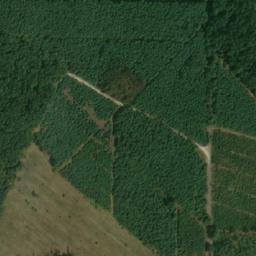 Satellite imagery of (Boří les) [Valtice], CZ