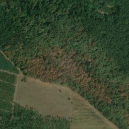 Satellite imagery of (Boří les) [Valtice], CZ