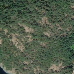 Satellite imagery of Skinner Bluff, CA