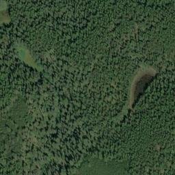 Satellite imagery of Logging Ridge, US