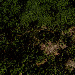 Satellite imagery of Studničná [Nová Pec], CZ