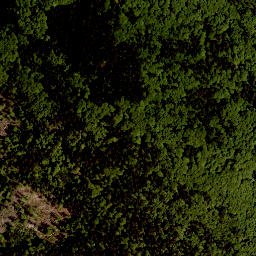 Satellite imagery of Studničná [Nová Pec], CZ