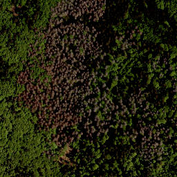 Satellite imagery of Studničná [Nová Pec], CZ