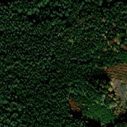 Satellite imagery of Kraví vrch [Horní Planá], CZ