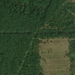 Satellite imagery of (Boří les) [Valtice], CZ