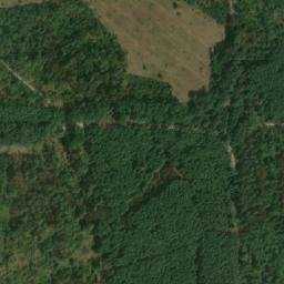Satellite imagery of (Boří les) [Valtice], CZ