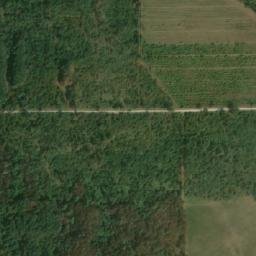 Satellite imagery of (Boří les) [Valtice], CZ