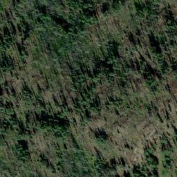 Satellite imagery of Thompson Ridge, US
