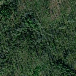 Satellite imagery of Thompson Ridge, US